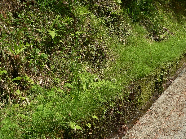 e0002314_20134996.jpg