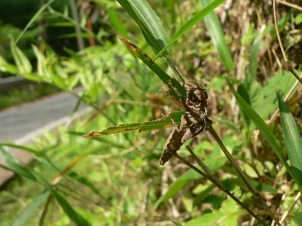 e0002314_20195039.jpg