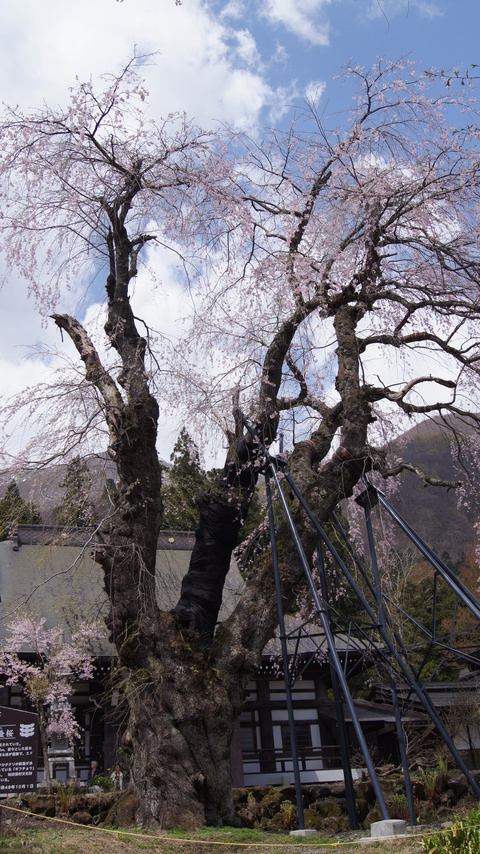 f0233414_21495491.jpg
