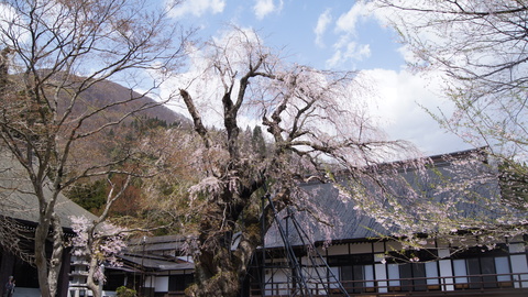 f0233414_2159764.jpg