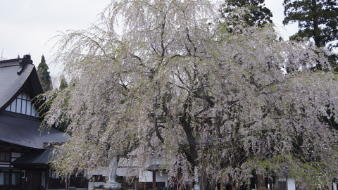 f0233414_222676.jpg