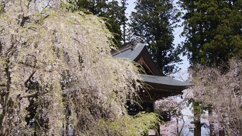 f0233414_2264935.jpg