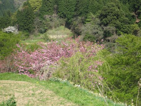 c0094218_1071368.jpg