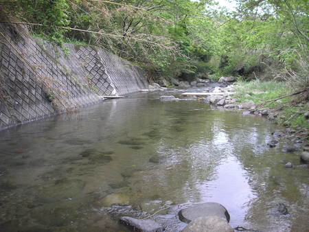 d0168318_163284.jpg