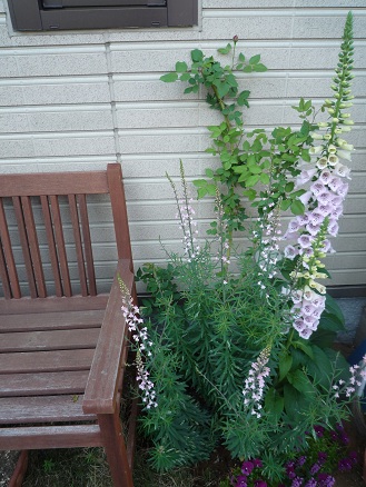 f0150620_20495383.jpg