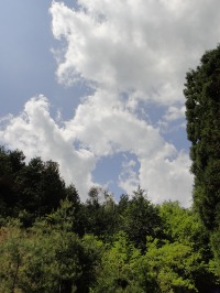 c0189724_19145143.jpg