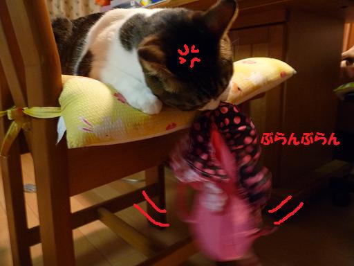 c0156328_20534629.jpg