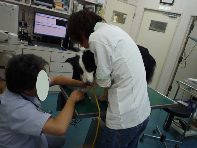 d0059230_1033849.jpg