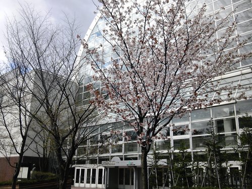 f0226632_920621.jpg
