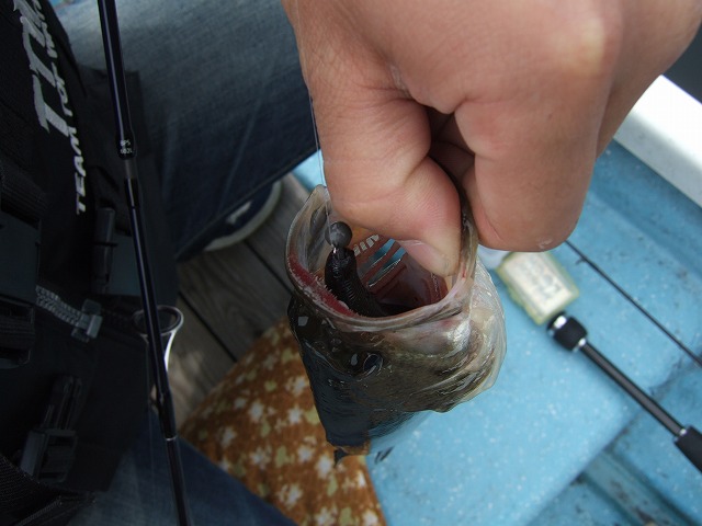 c0208836_20512080.jpg