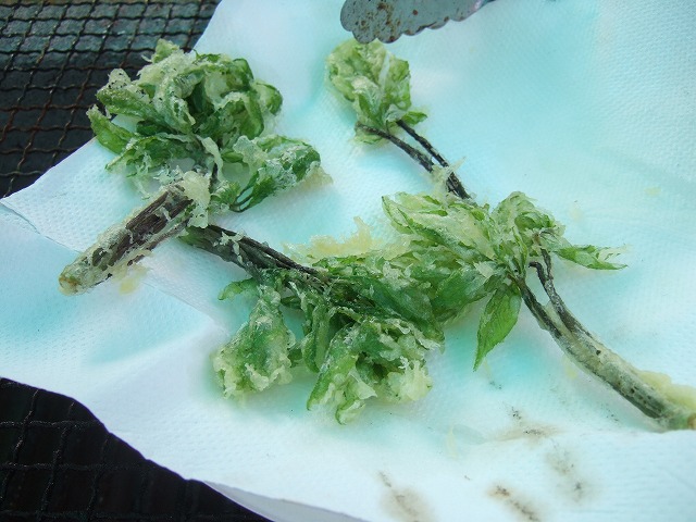 c0208836_2117952.jpg