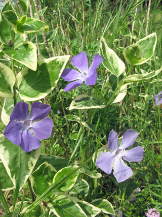 f0234936_19112024.jpg