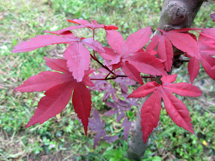 f0234936_19113690.jpg