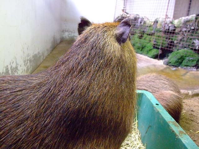 a0179837_12465834.jpg