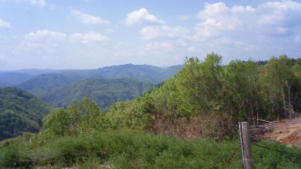 a0053238_1644982.jpg