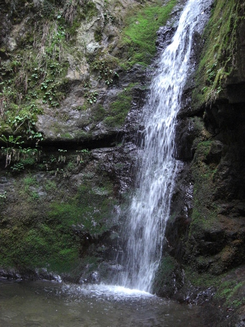 a0163738_15202835.jpg