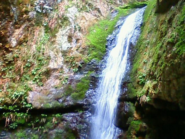 a0163738_1543742.jpg