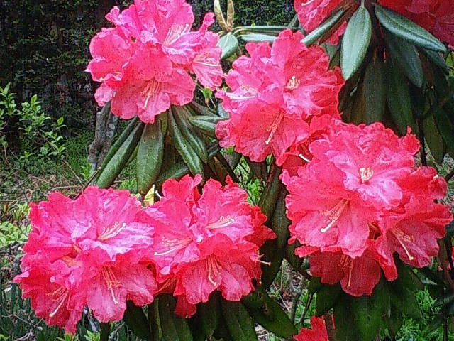 a0163738_1885812.jpg