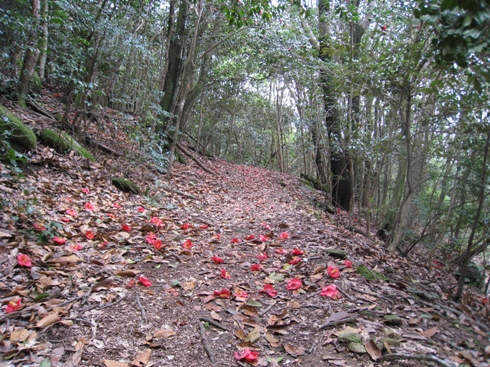 c0077338_21382296.jpg