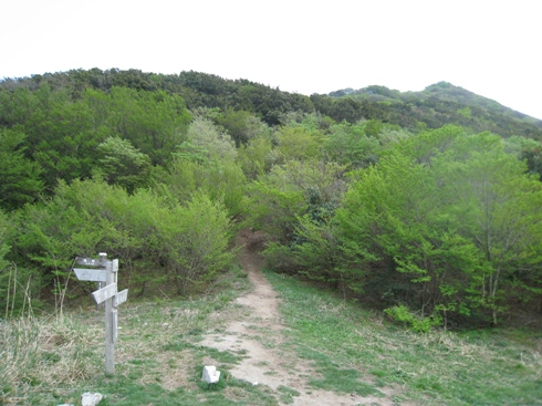 c0077338_21383912.jpg