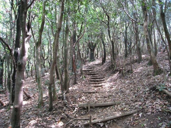 c0077338_21385493.jpg