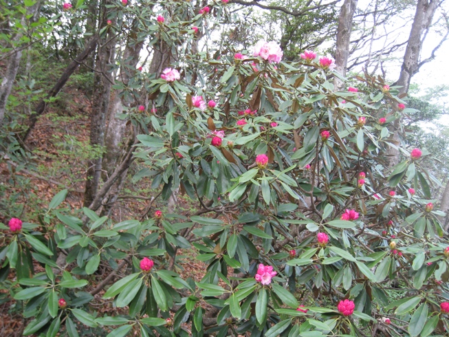 c0077338_2140444.jpg