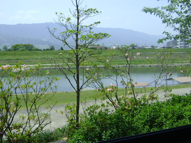 d0118438_1751875.jpg