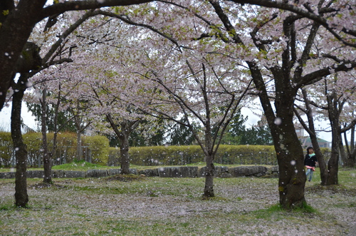 d0156438_0435528.jpg