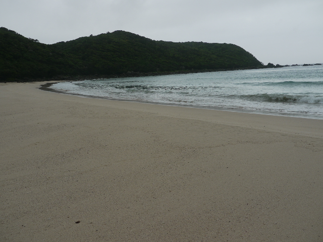 b0190242_7432925.jpg