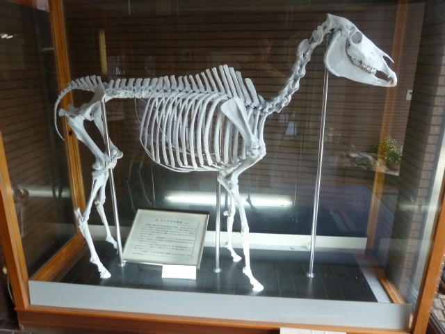 b0190242_7454866.jpg