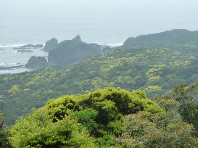 b0190242_747756.jpg