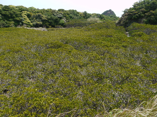 b0190242_7504924.jpg