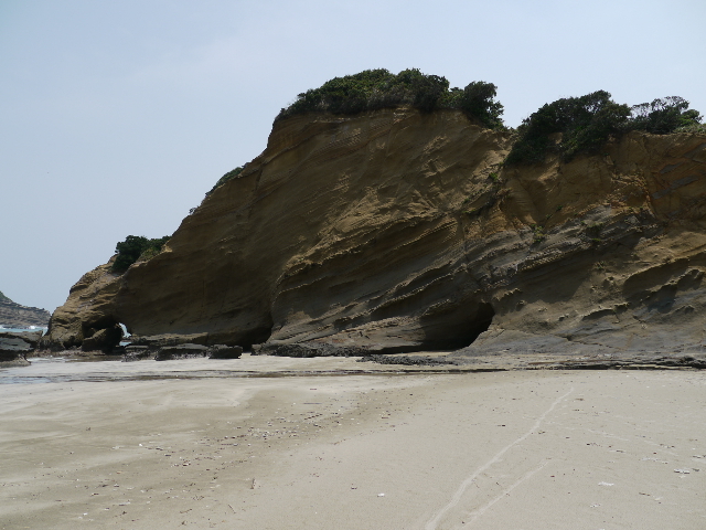 b0190242_753116.jpg