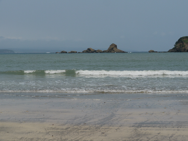 b0190242_753186.jpg