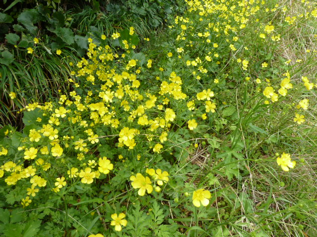 b0190242_7585563.jpg