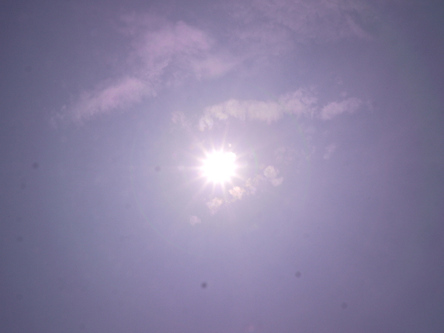 b0190242_8101335.jpg