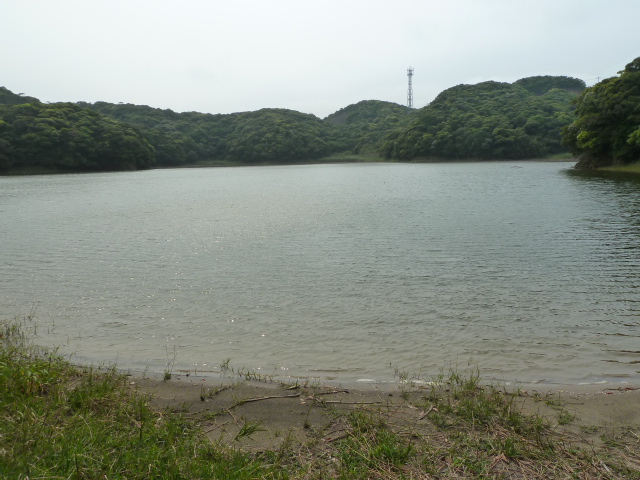 b0190242_814948.jpg