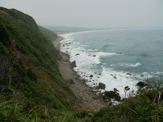 b0190242_832882.jpg