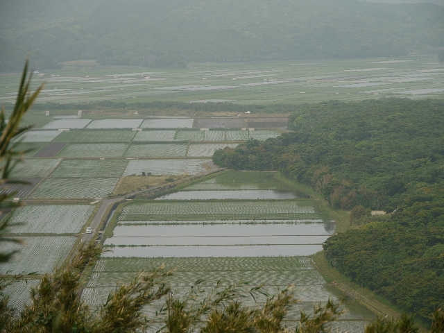 b0190242_844430.jpg