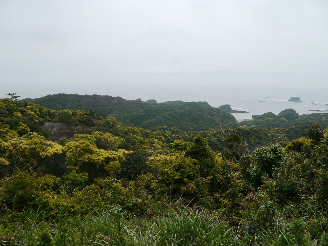 b0190242_875637.jpg