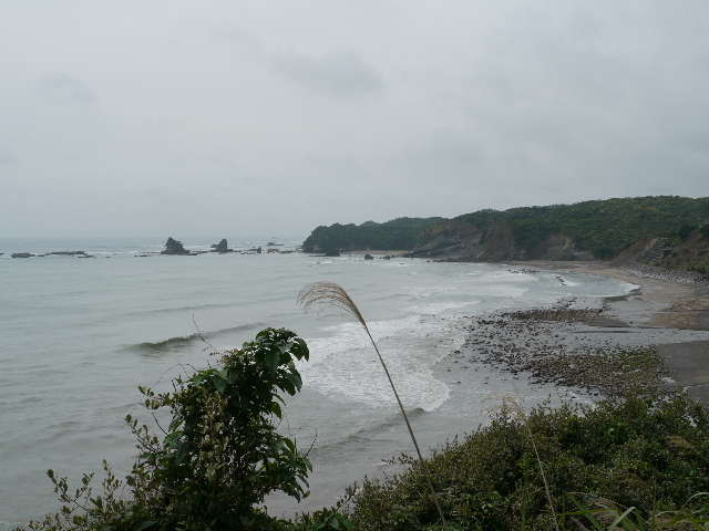 b0190242_883670.jpg