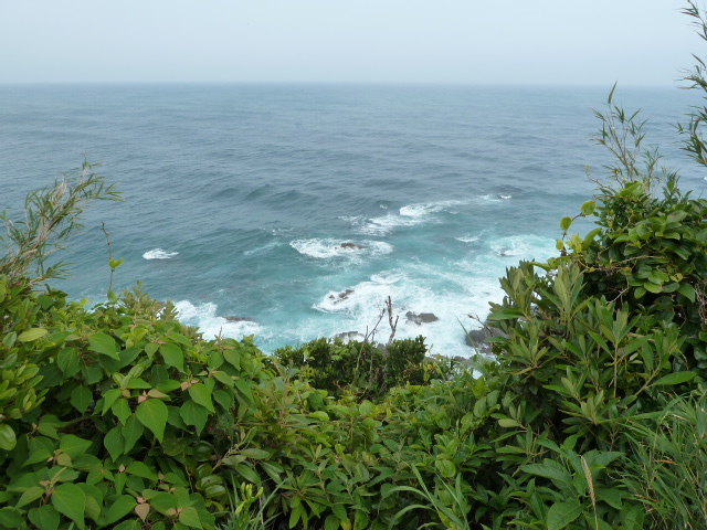 b0190242_894212.jpg