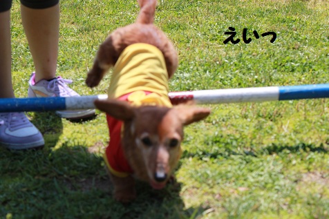 c0206342_20442655.jpg