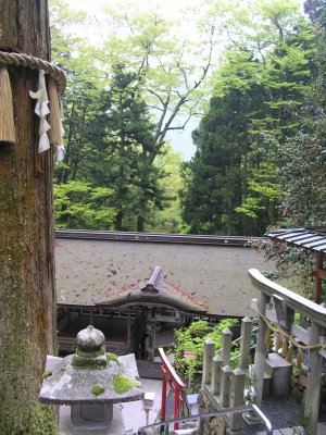 d0142944_1420175.jpg