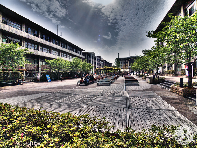 b0135347_031431.jpg