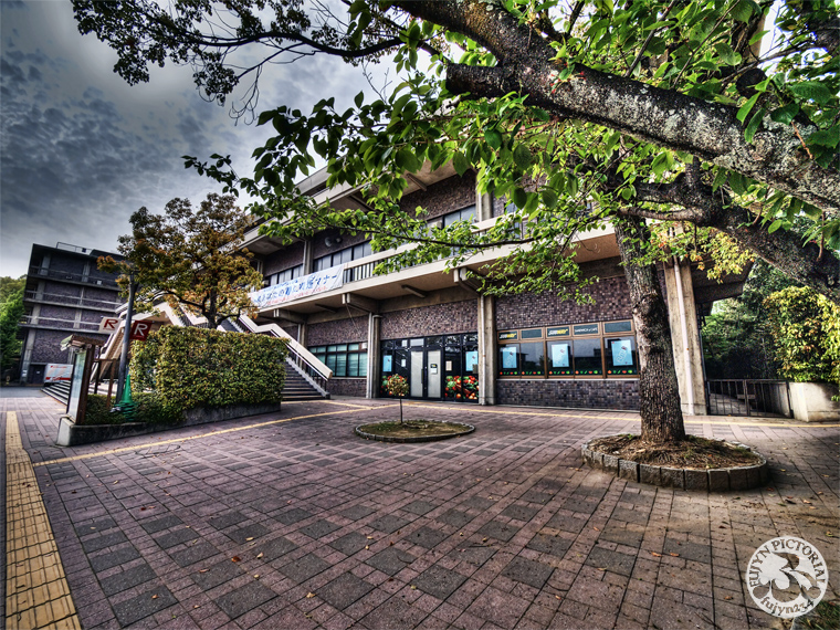 b0135347_03516.jpg