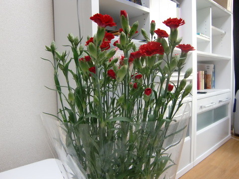 c0206352_2342469.jpg