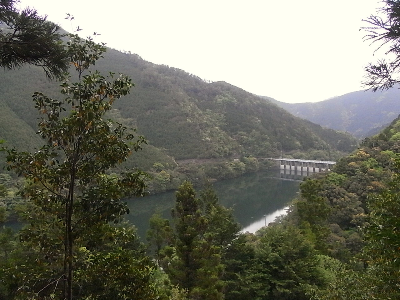 f0178153_1333717.jpg