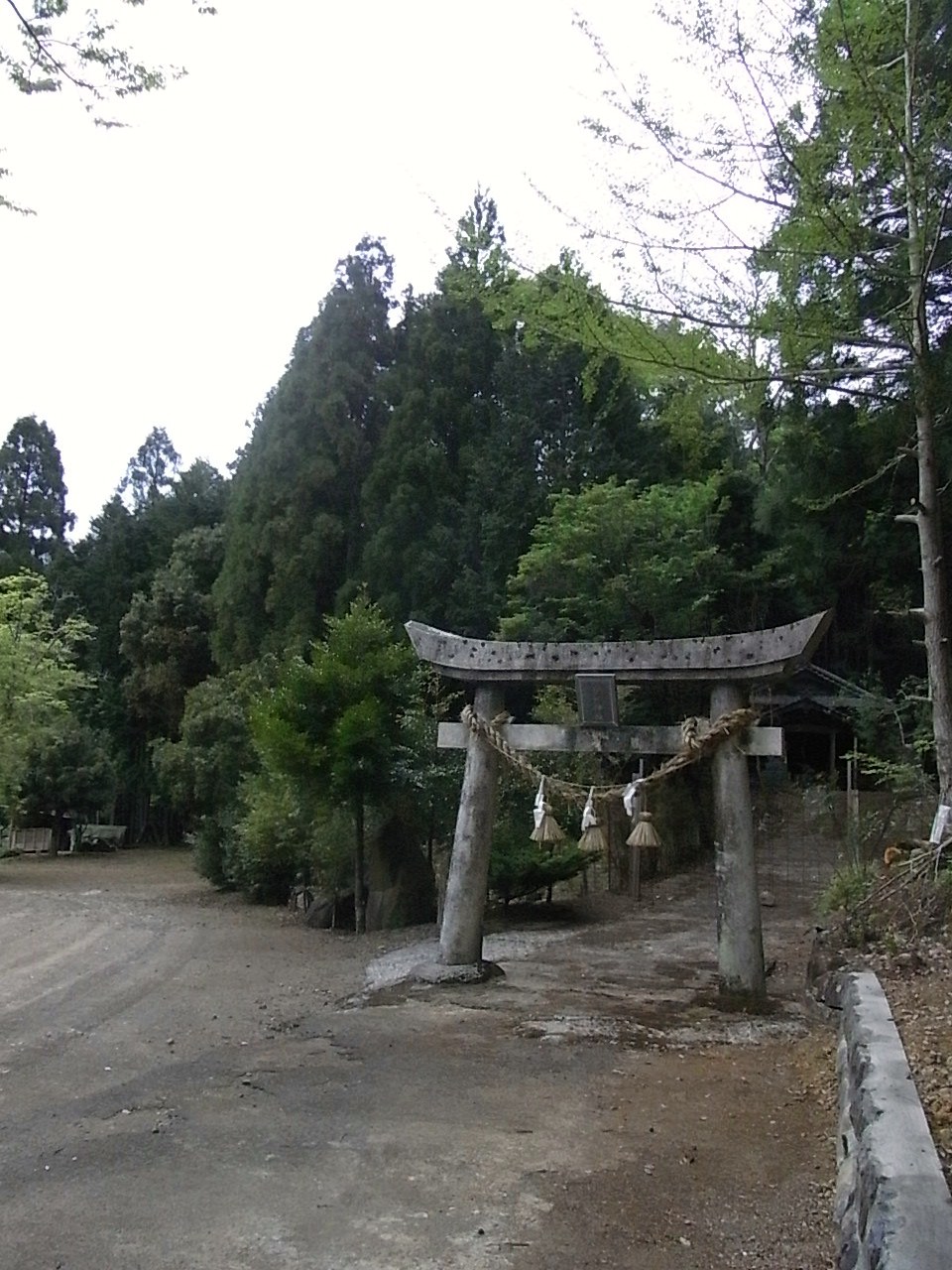 f0178153_1381178.jpg