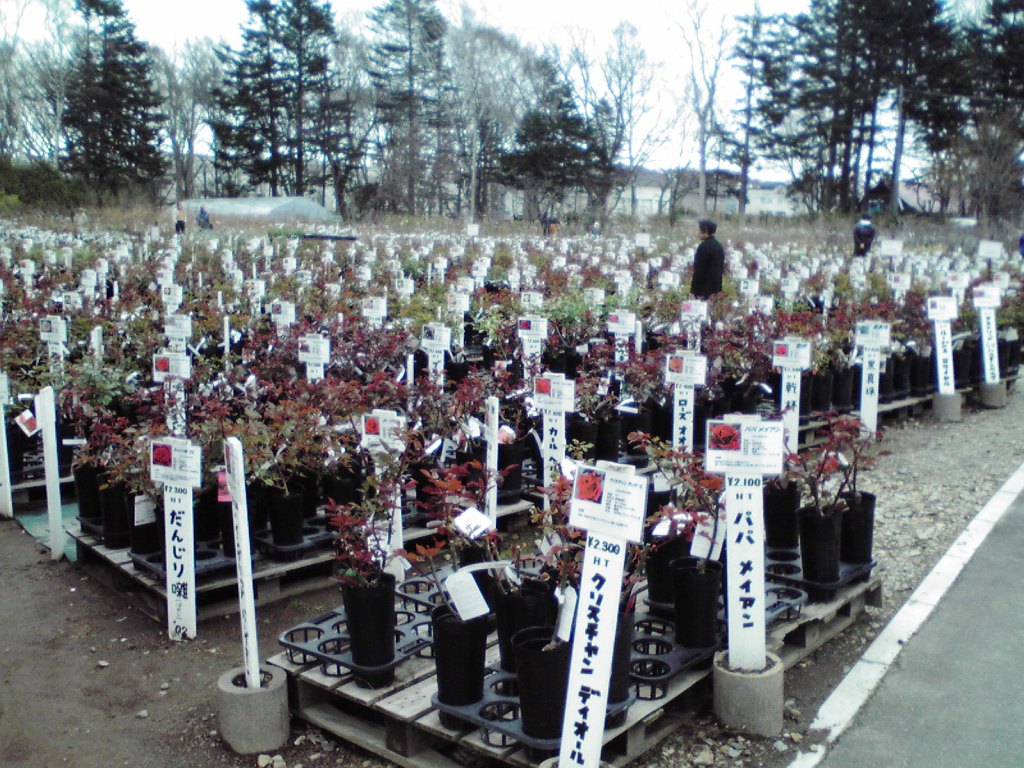 f0057955_20464390.jpg